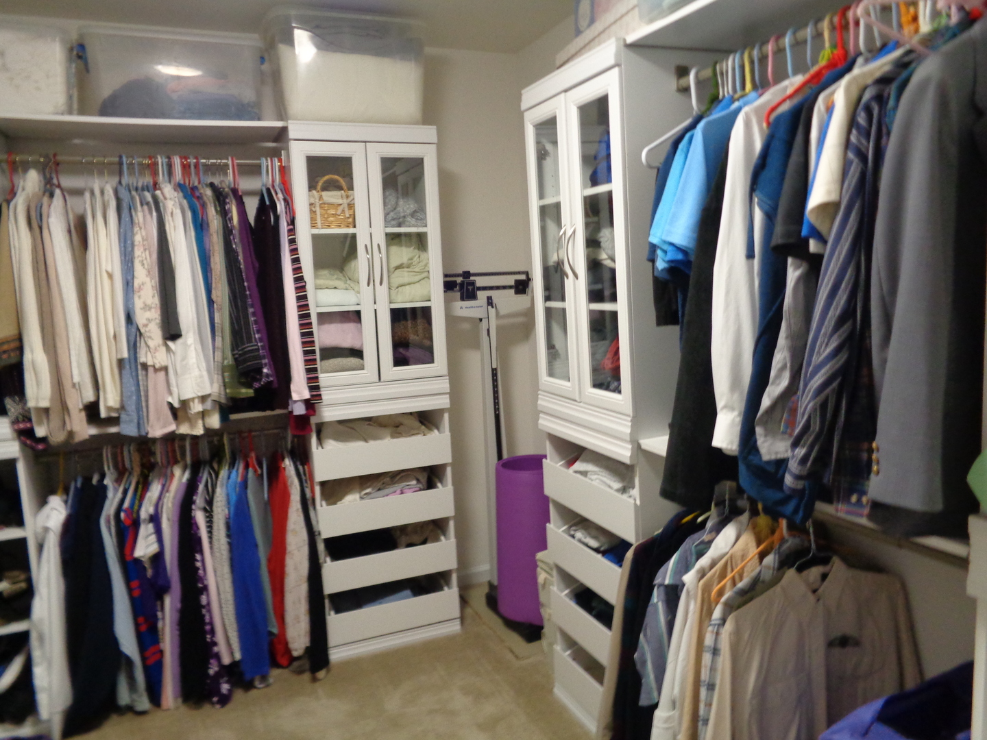1157 Falcon Ridge Drive Elgin, IL 60124 - Photo 9 of 14 a view of walk in closet with clothes and shoes