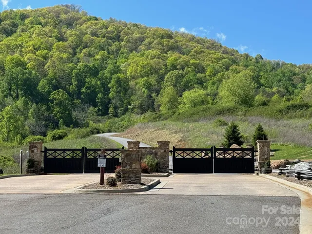 a view of a forest with a mountain