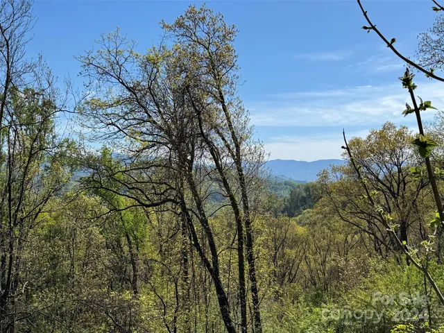 $169,000 | 0 High Rock Vw Drive, Unit 32, Canton, NC 28716