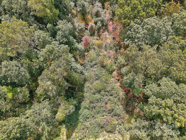 a view of a house with a tree
