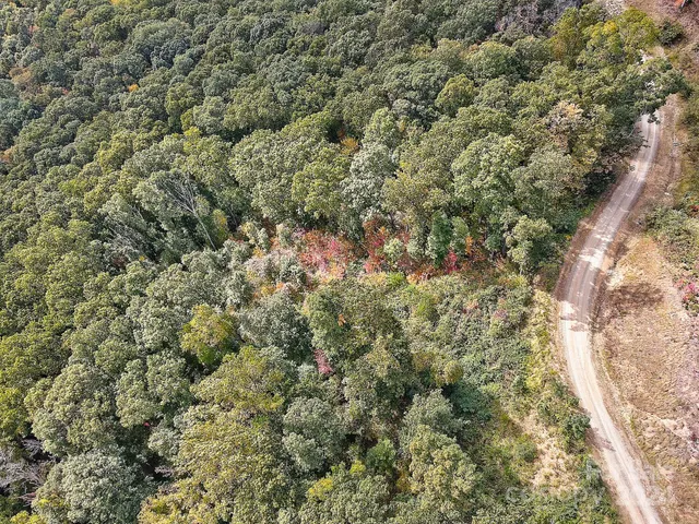 a view of a city with lush green forest