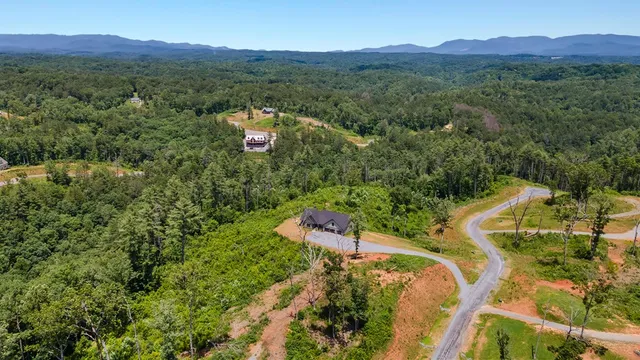 a view of a lush green hillside and houses
