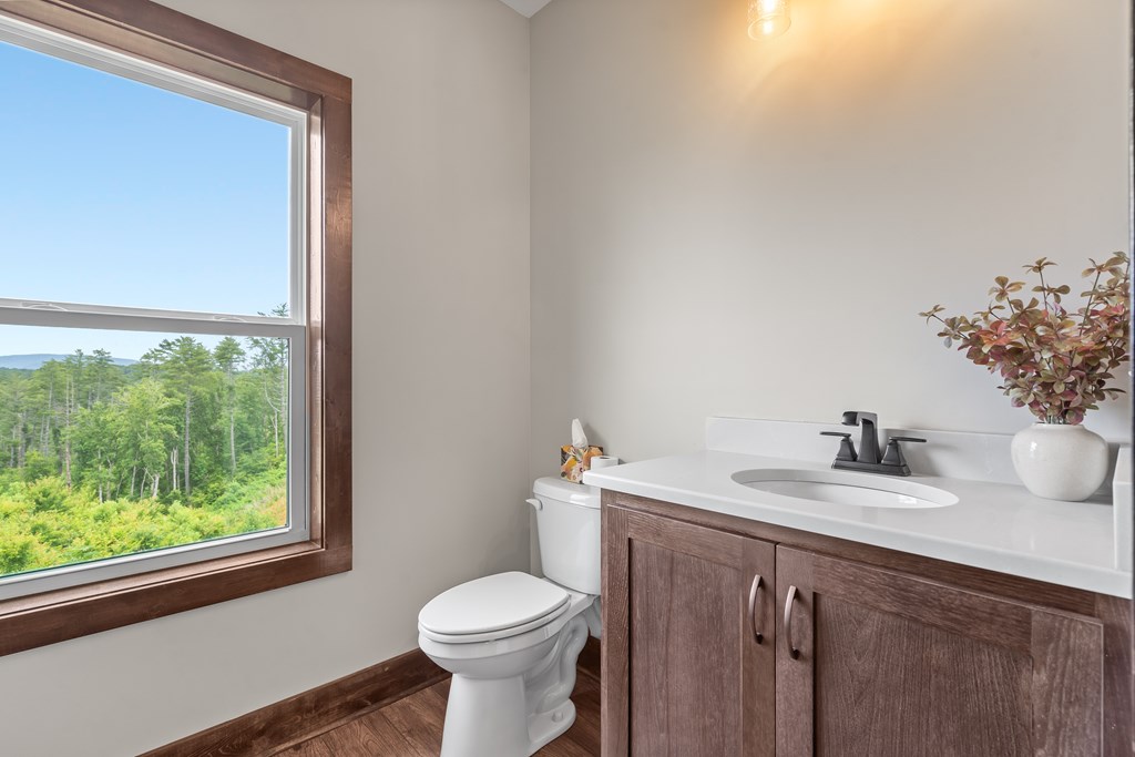 39 Mountaintown Overlook Ellijay, GA 30540 - Photo 22 of 51 a bathroom with a sink and a toilet