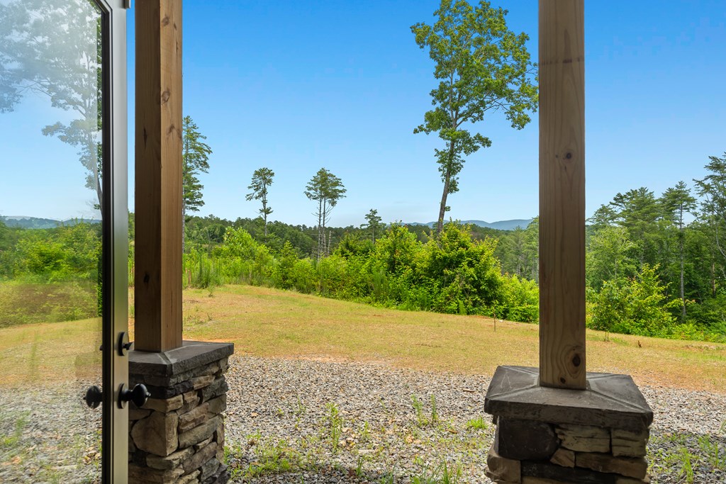 39 Mountaintown Overlook Ellijay, GA 30540 - Photo 51 of 51 a view of a garden with a tree