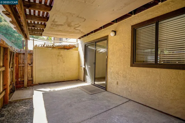 a view of a garden with plants