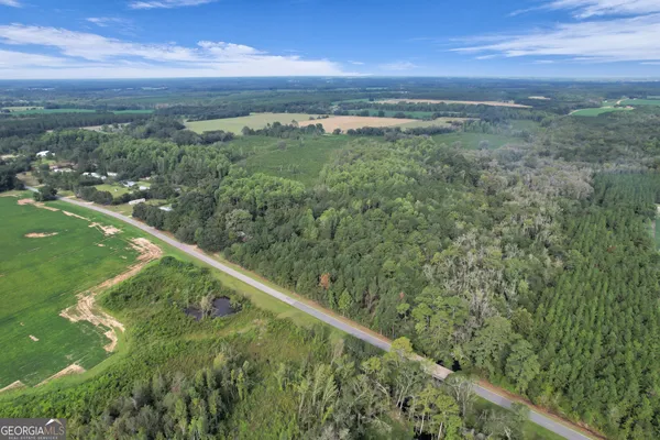 a view of a city with lush green forest