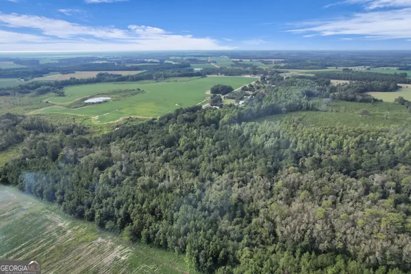 a view of a city with lush green forest