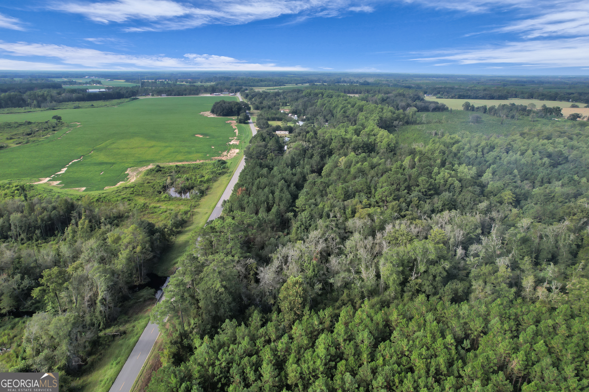 0 Kville Road Screven, GA 31560 - Photo 6 of 9 a view of a green field with an ocean view
