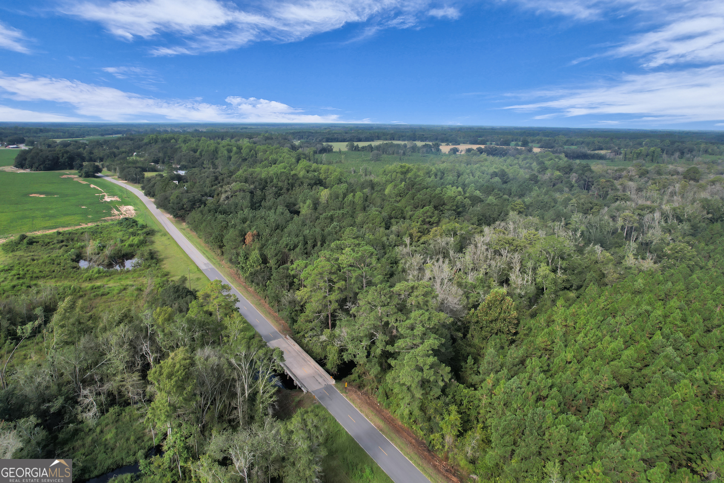 0 Kville Road Screven, GA 31560 - Photo 7 of 9 a view of a city with lush green forest
