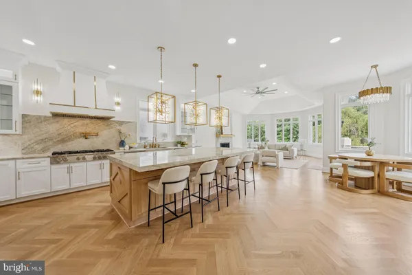 a living room with furniture a dining table and a potted plant
