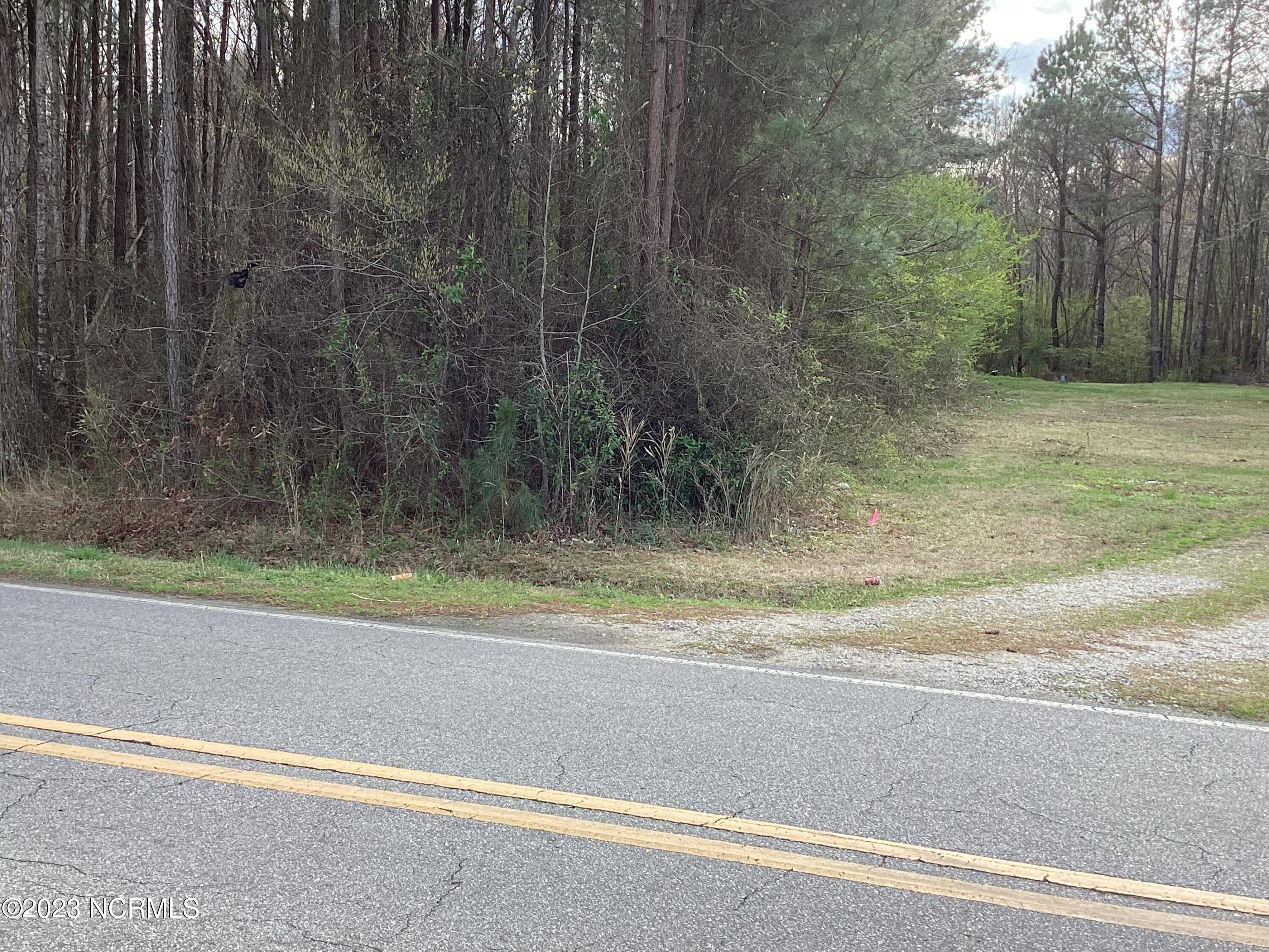 0 Redman Road Rocky Mount, NC 27803 - Photo 6 of 7 corner at road