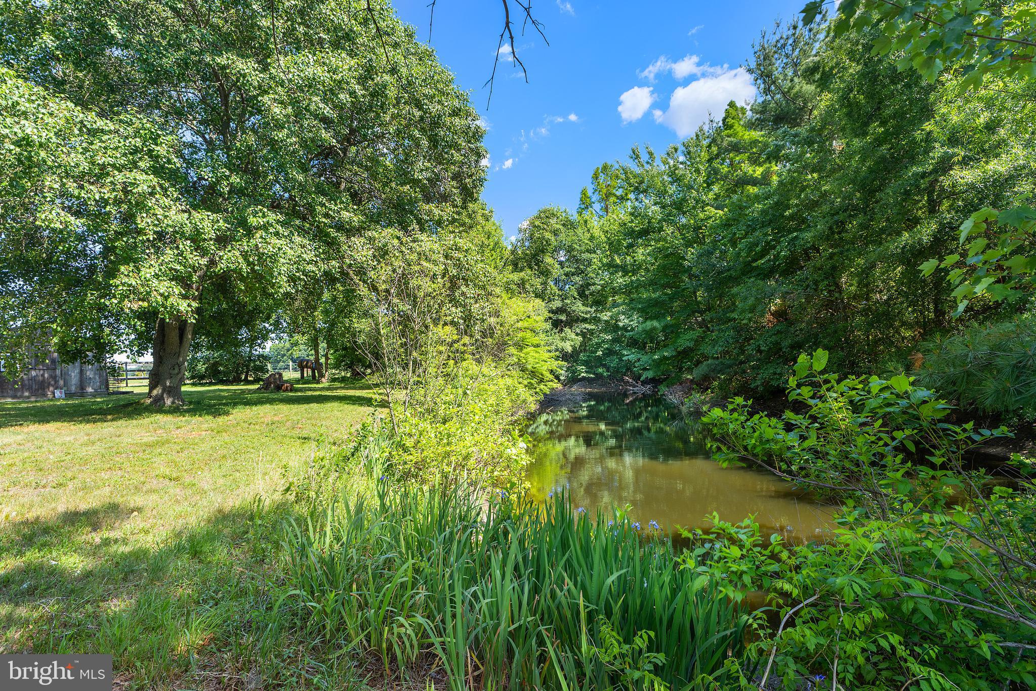 12397 Ridgely Road Ridgely, MD 21660 - Photo 34 of 62 Pond