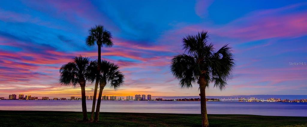 50 Coe Road, Unit 311 Belleair, FL 33756 - Photo 3 of 53 a view of a ocean with palm trees