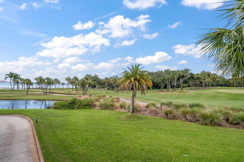 50 Coe Road, Unit 311 Belleair, FL 33756 - Photo 41 of 53 a view of a lake with a big yard