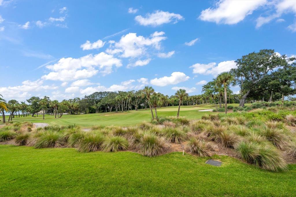 50 Coe Road, Unit 311 Belleair, FL 33756 - Photo 42 of 53 a view of a golf course with a lake
