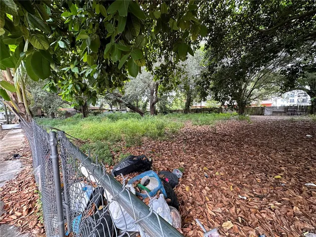 a view of a garden with plants and large trees