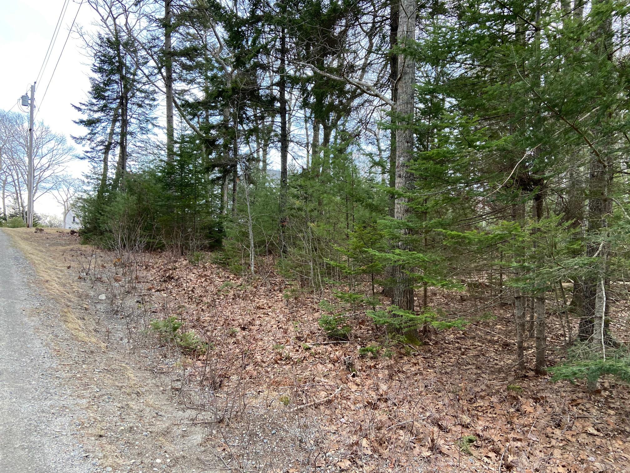 0 Russell Road Chamberlain, ME 04541 - Photo 1 of 4 IMG_4771