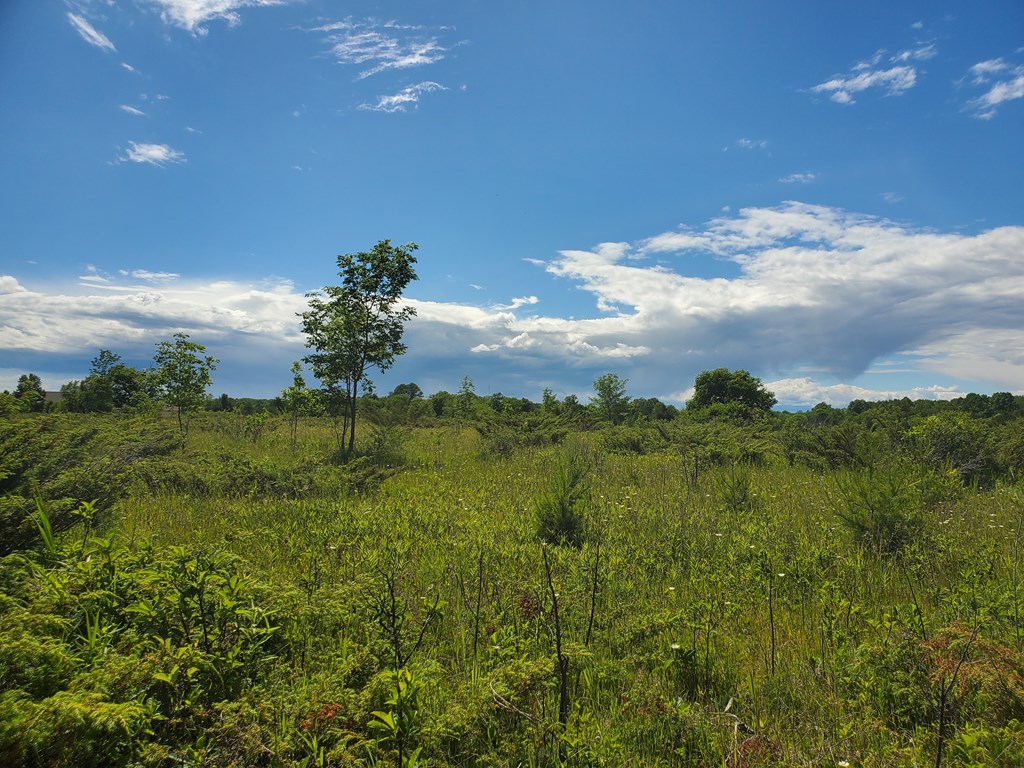 Lot 14 Timberline Road Ellison Bay, WI 54210 - Photo 4 of 9