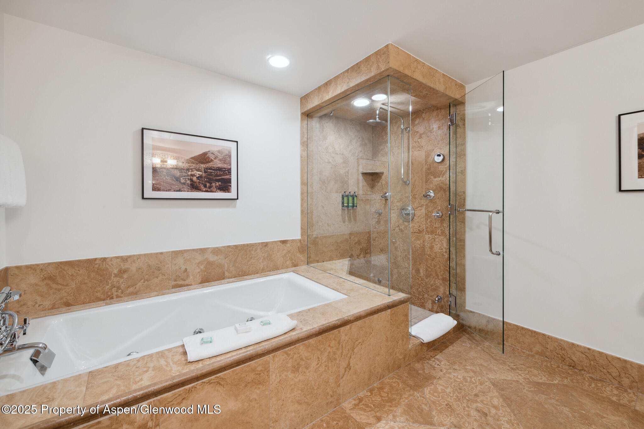 415 East Dean St Unit 49 Week 33 Aspen, CO 81611 - Photo 17 of 29 49BBathroomTubShower