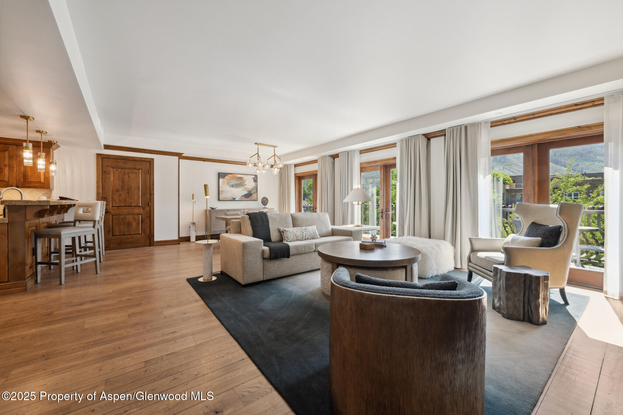 415 East Dean St Unit 49 Week 33 Aspen, CO 81611 - Photo 4 of 29 49BLivingRoom