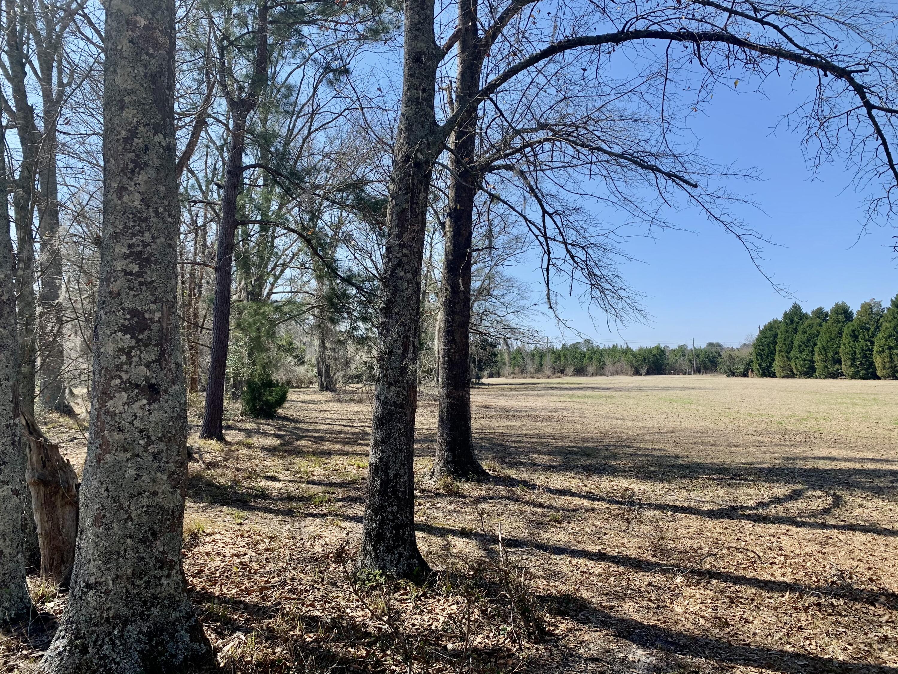 651 Schaffer Corner Road Varnville, SC 29944 - Photo 1 of 30 C1FE876E-C3DA-41F5-887C-5F0B7EF3652F
