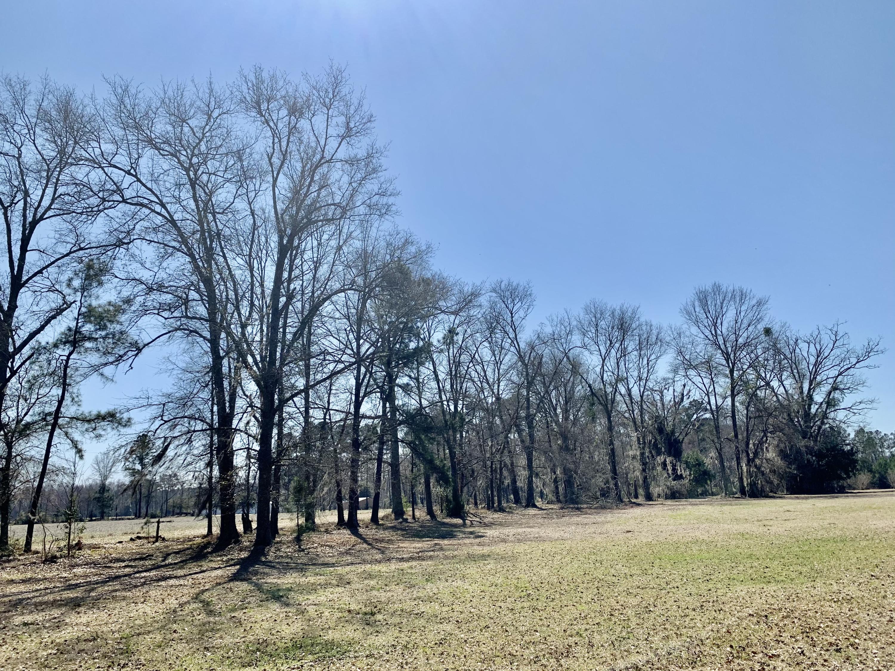 651 Schaffer Corner Road Varnville, SC 29944 - Photo 2 of 30 B737AA2F-4D78-440A-A98A-21F4F3A00FDE