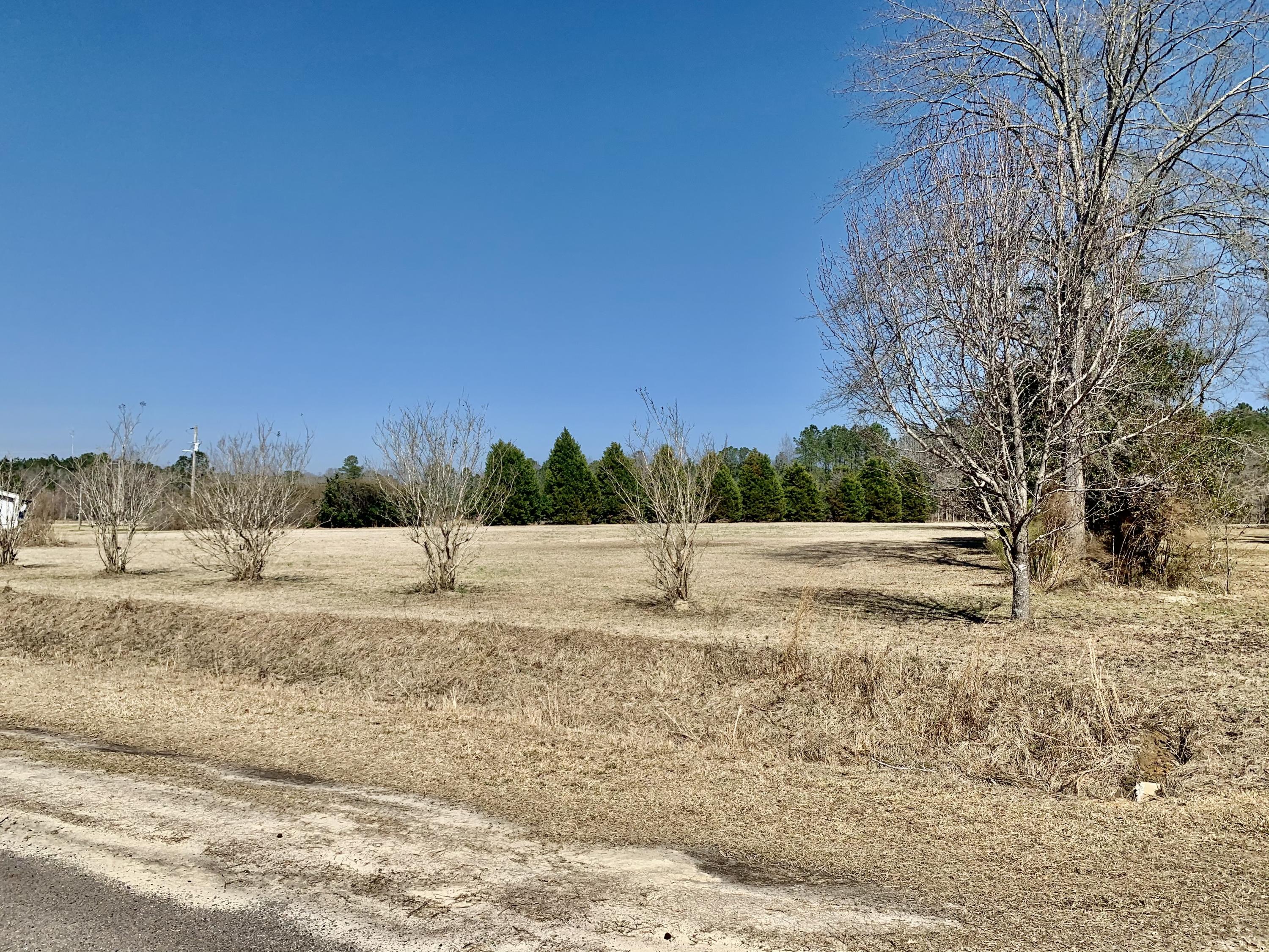 651 Schaffer Corner Road Varnville, SC 29944 - Photo 11 of 30 37464DF9-063F-4FE5-B662-B677172918B3