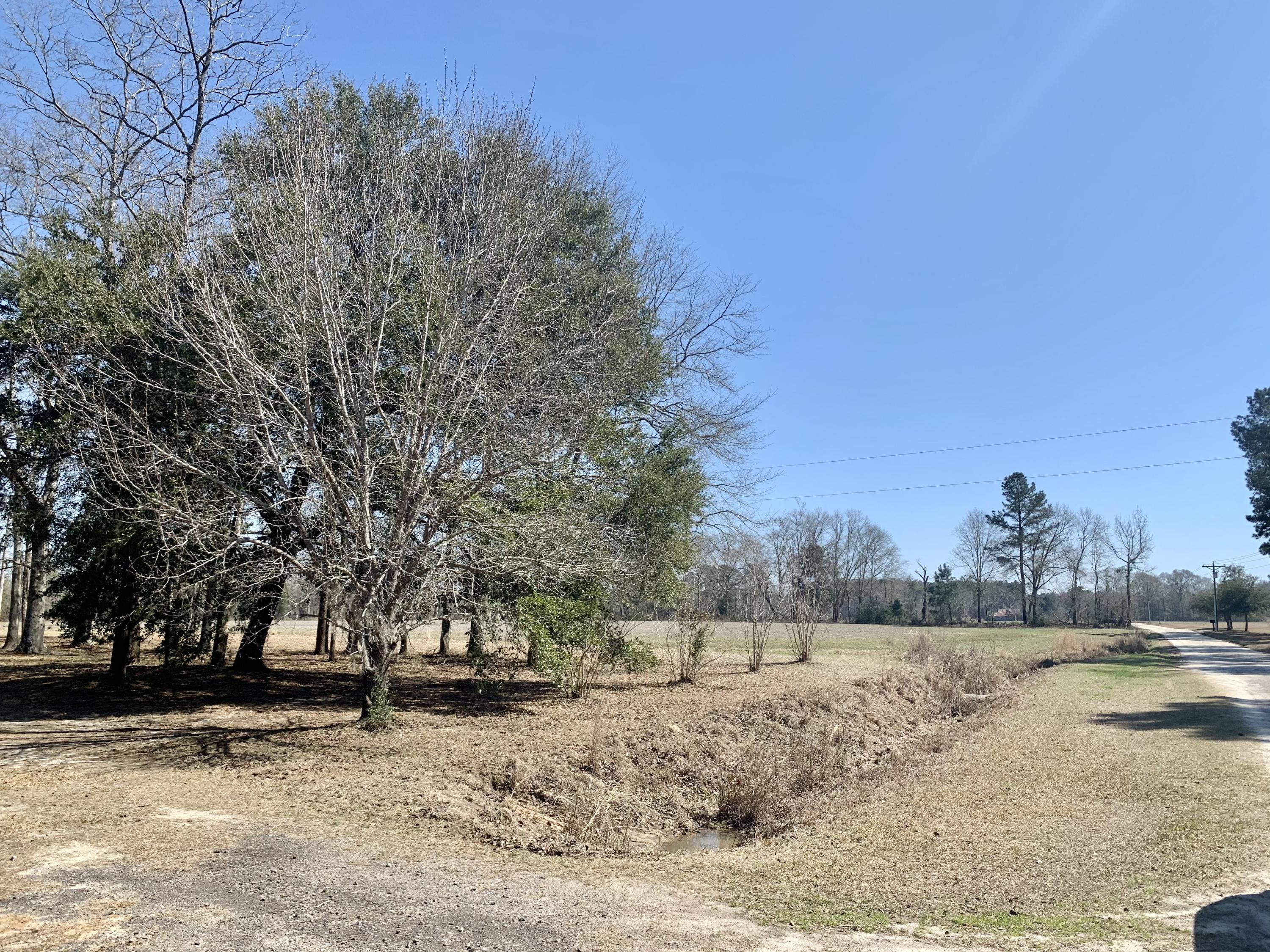 651 Schaffer Corner Road Varnville, SC 29944 - Photo 12 of 30 1B1D0C8C-CFA1-4289-9ABE-12C381BC4686