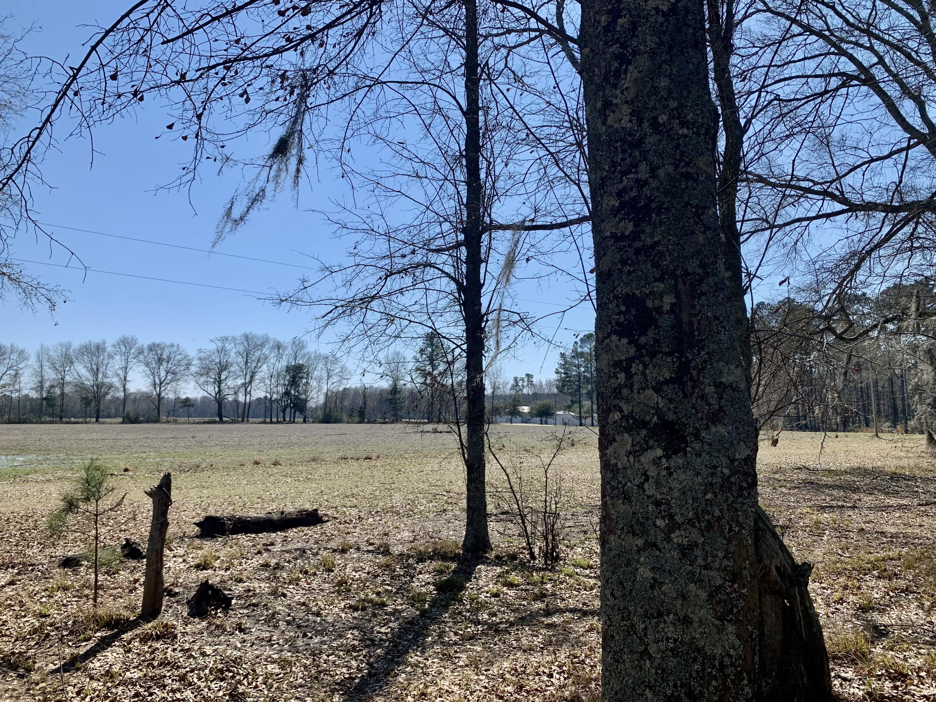 651 Schaffer Corner Road Varnville, SC 29944 - Photo 18 of 30 9C8E0521-46F8-485D-B20E-3A977CA8F601