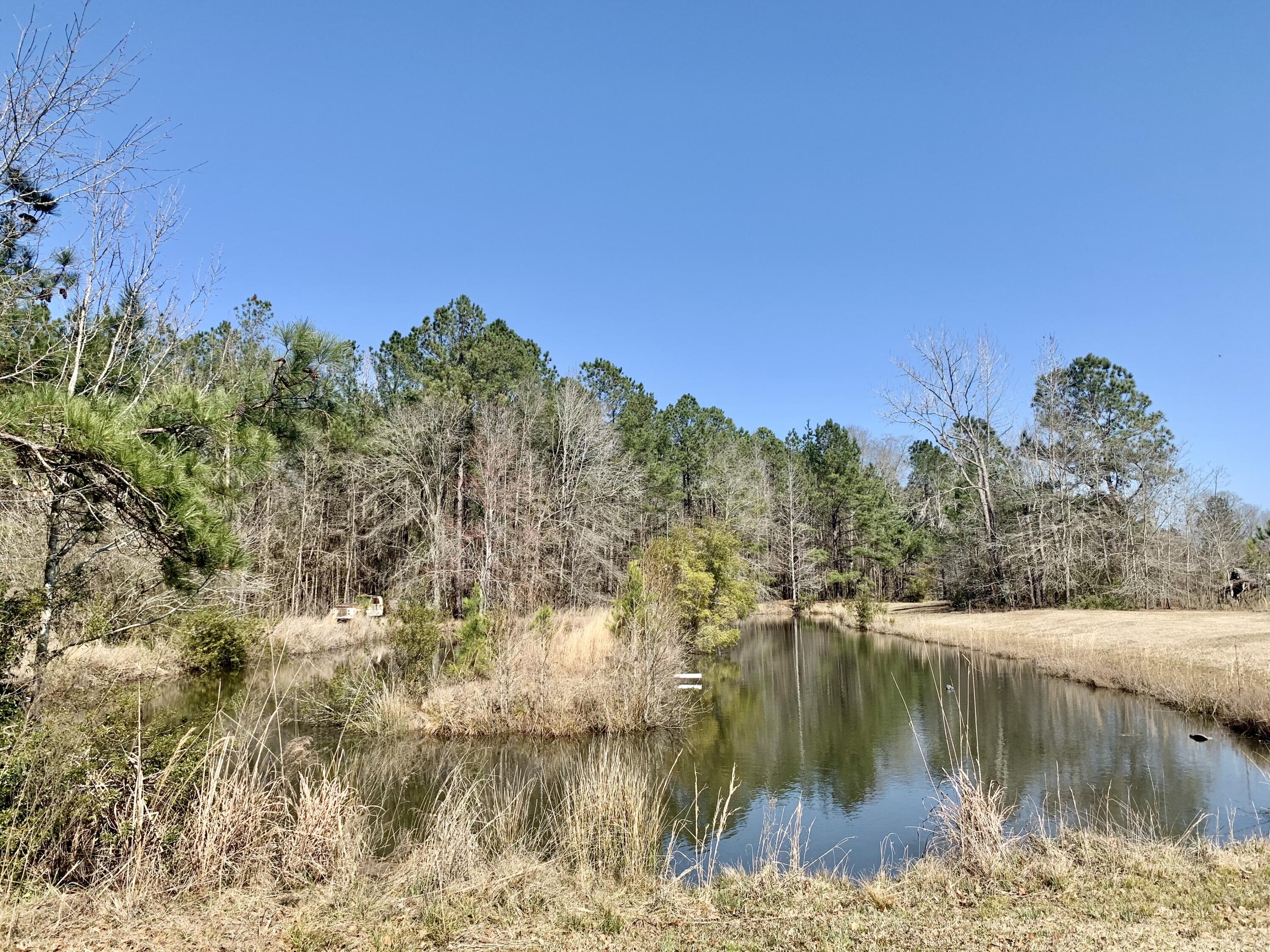 651 Schaffer Corner Road Varnville, SC 29944 - Photo 20 of 30 AD5E9AE5-67DD-4265-925A-09770C509D75