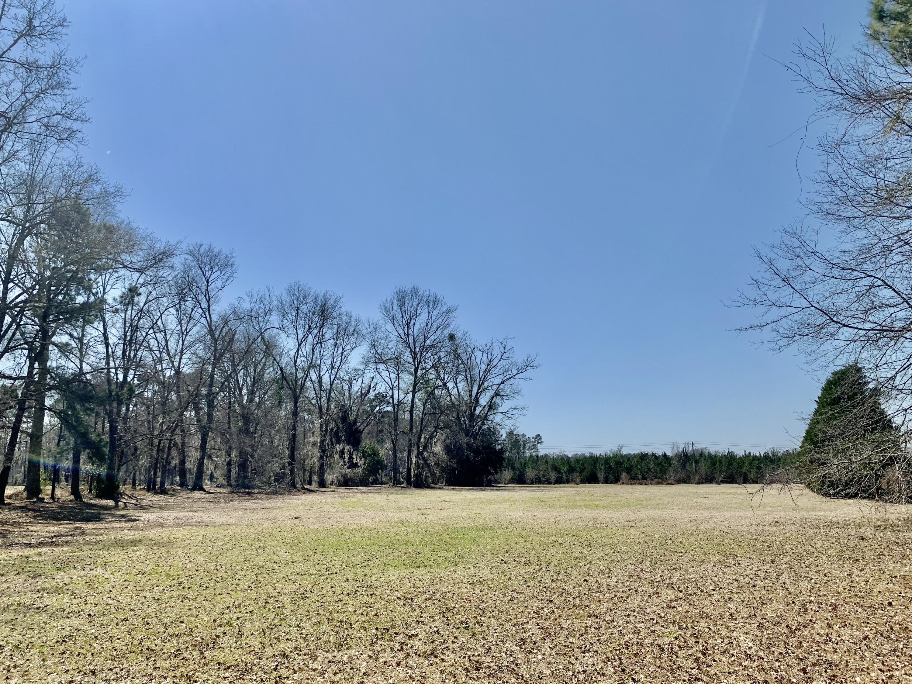 651 Schaffer Corner Road Varnville, SC 29944 - Photo 3 of 30 44854294-4B67-4445-B427-3A6800FDE5E9