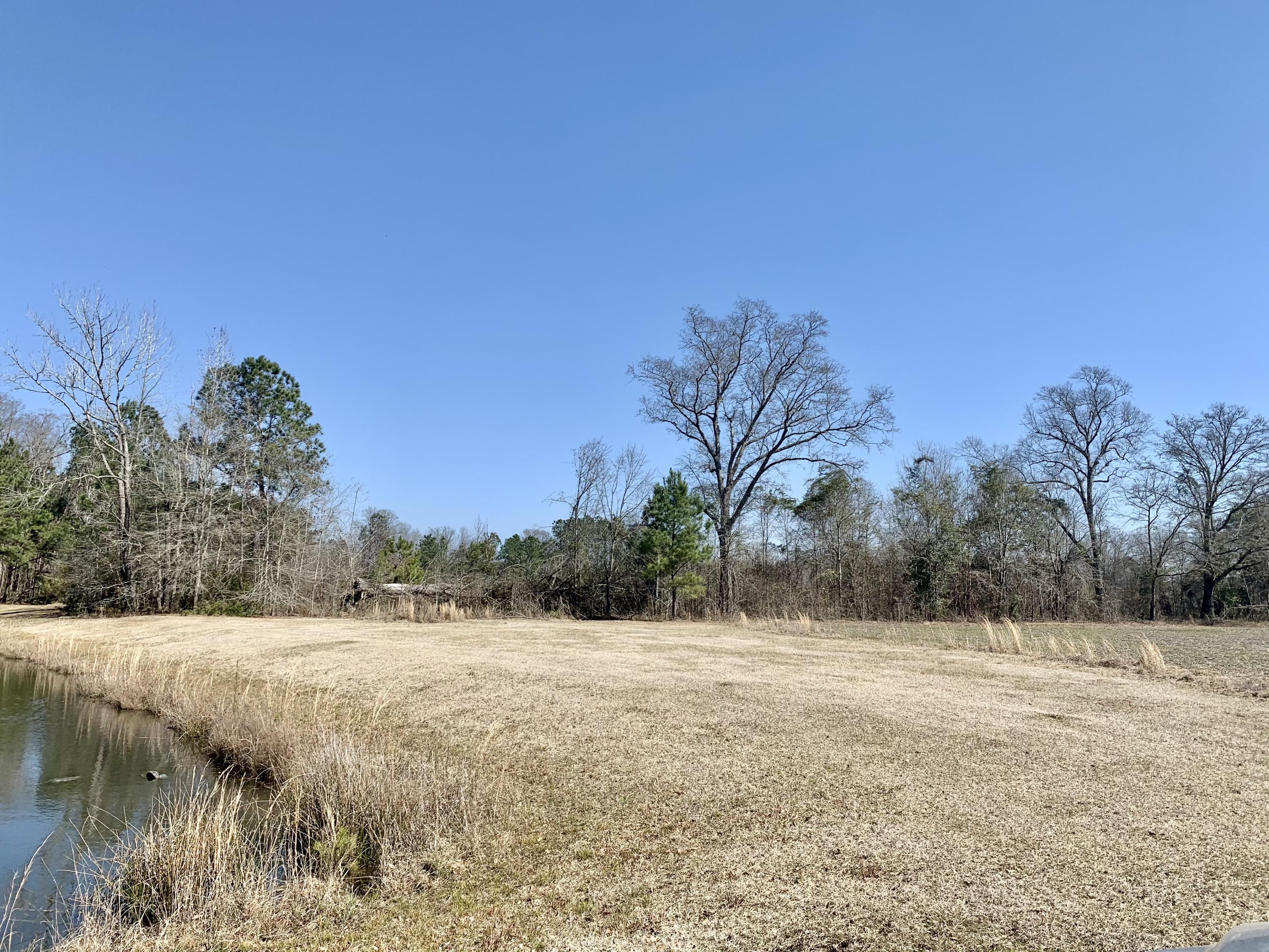 651 Schaffer Corner Road Varnville, SC 29944 - Photo 21 of 30 A80EEA47-51A8-4856-86D1-C7E081B00267