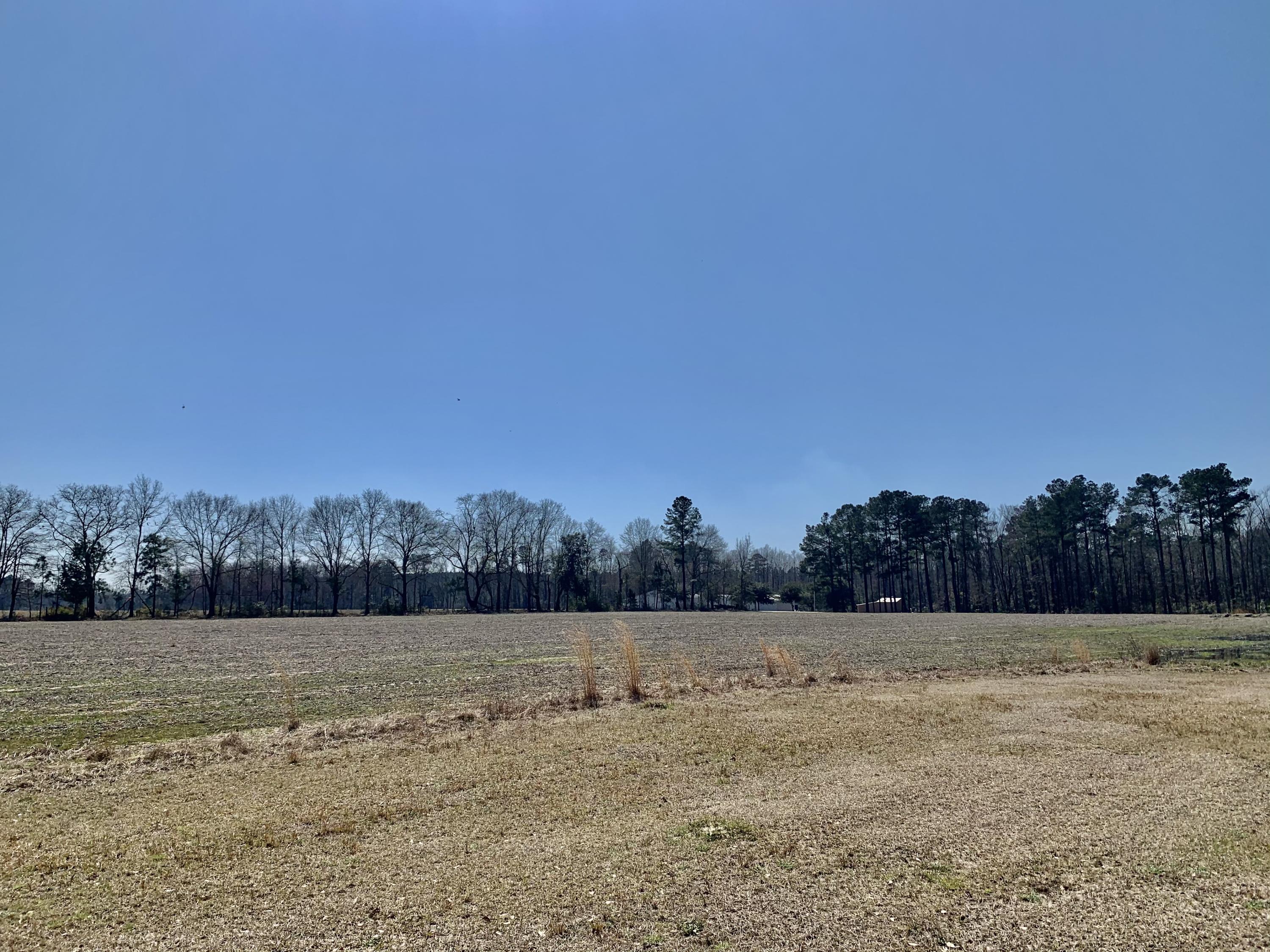 651 Schaffer Corner Road Varnville, SC 29944 - Photo 22 of 30 274E9304-F938-47CA-9AF4-8EA300972FD1