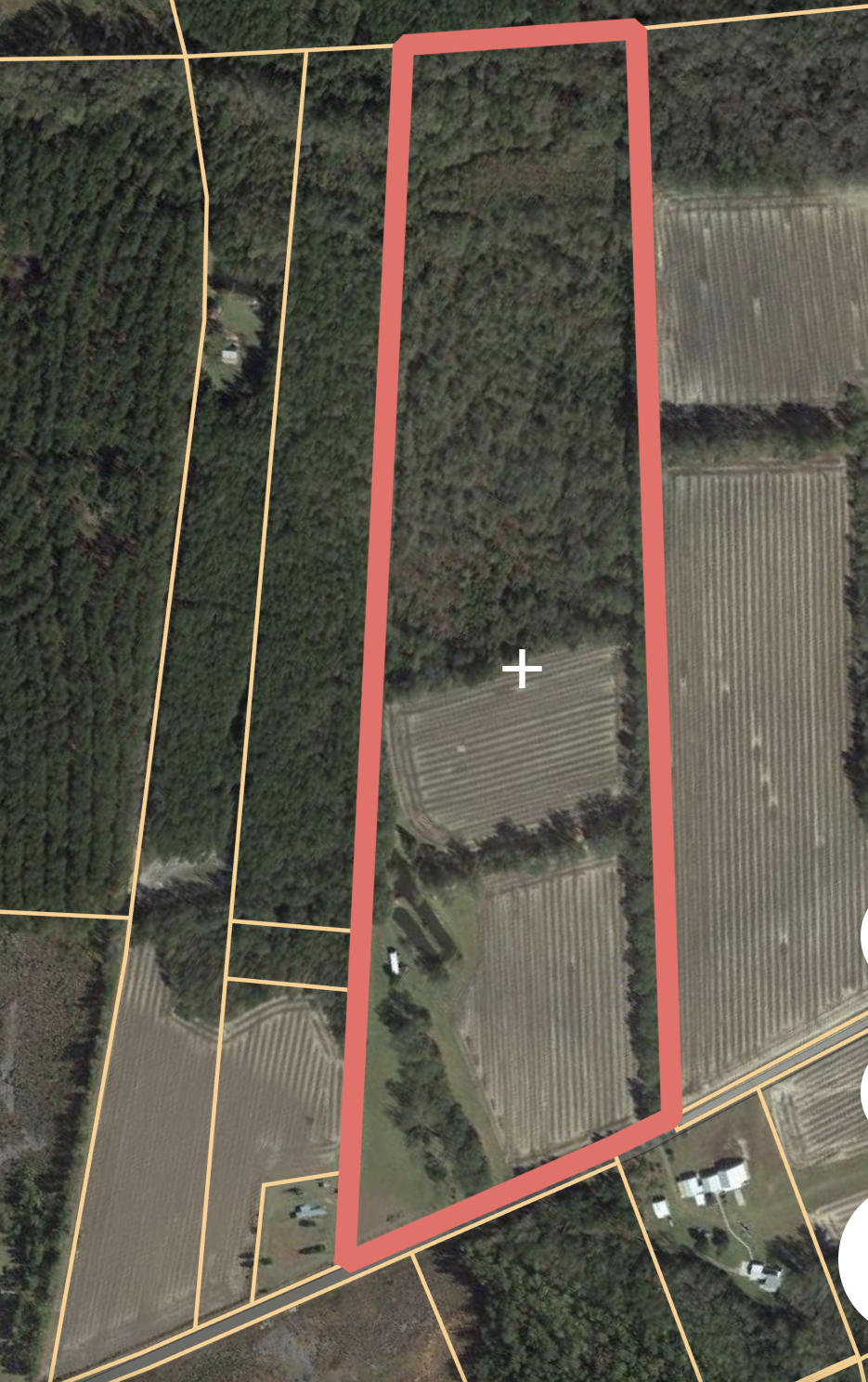 651 Schaffer Corner Road Varnville, SC 29944 - Photo 23 of 30 ECEF0370-ED24-49A4-AB04-51F3866AAFB7