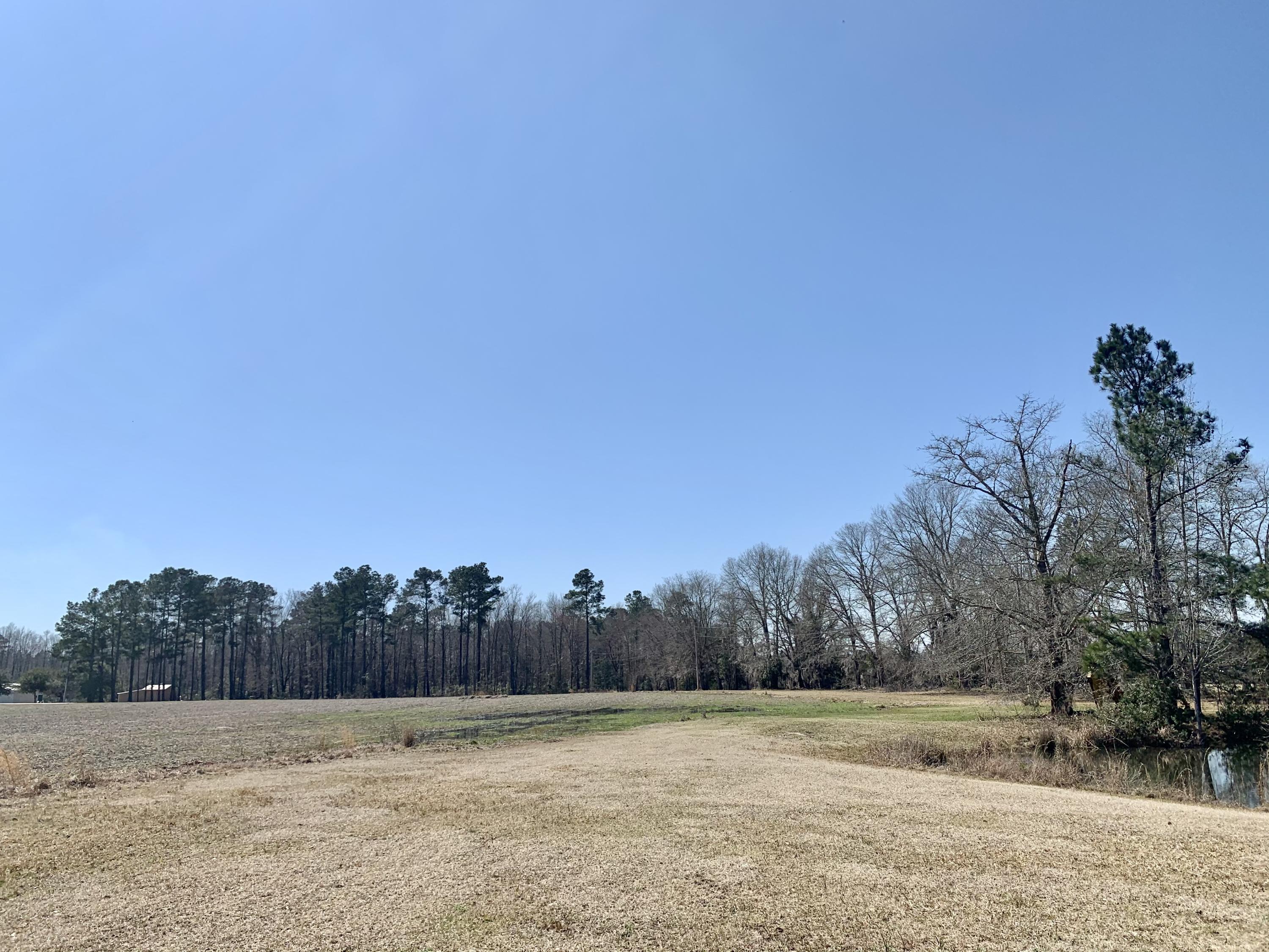 651 Schaffer Corner Road Varnville, SC 29944 - Photo 24 of 30 1CEFACBD-7D05-45B1-BFC2-83F79B1899CF