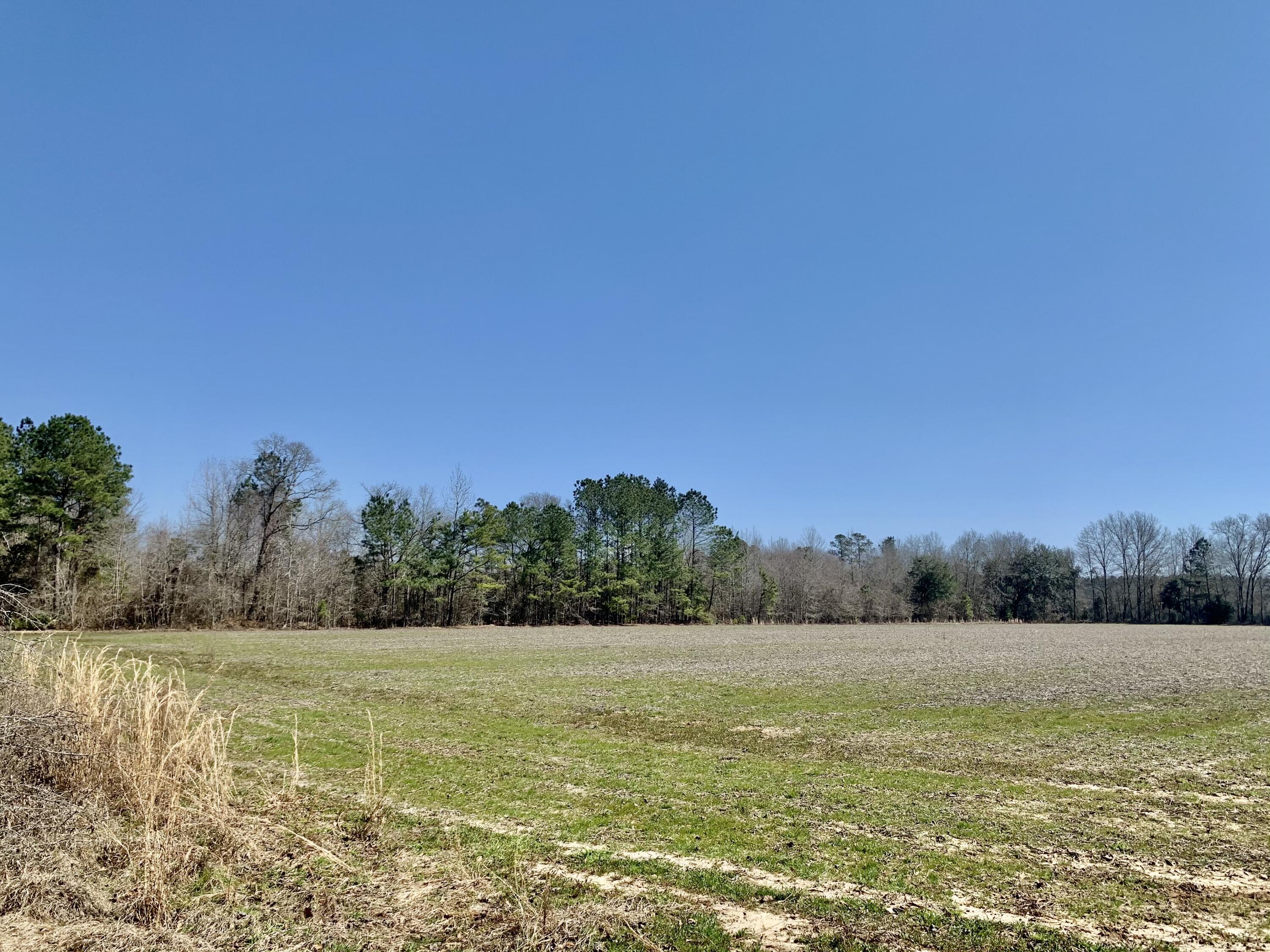 651 Schaffer Corner Road Varnville, SC 29944 - Photo 25 of 30 F351EFAB-665B-4443-B3A1-FD83350A9977