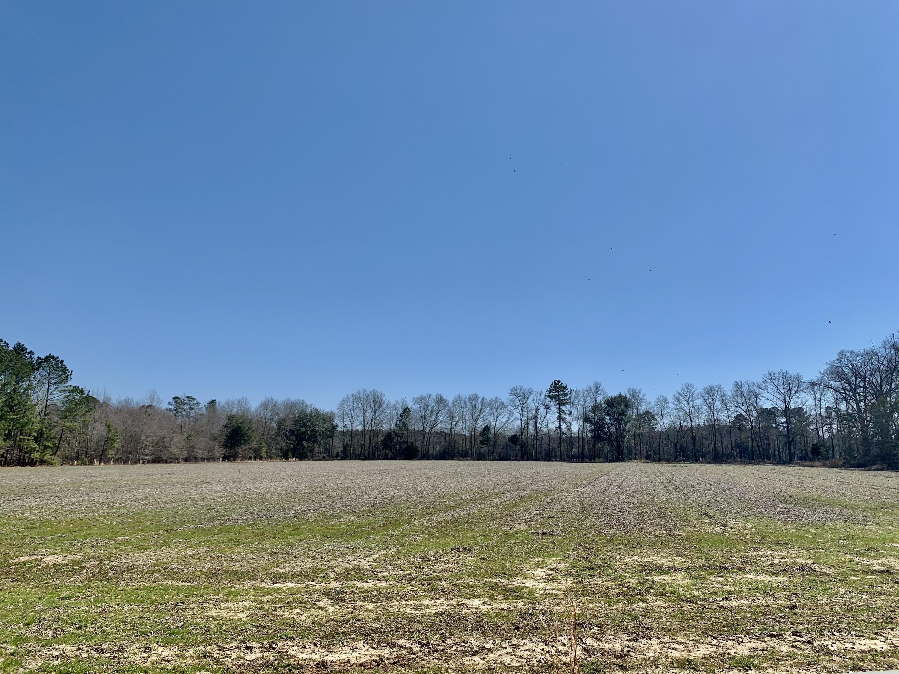 651 Schaffer Corner Road Varnville, SC 29944 - Photo 26 of 30 4FA16FEA-D3F0-41A8-A872-5AD53F879C9B
