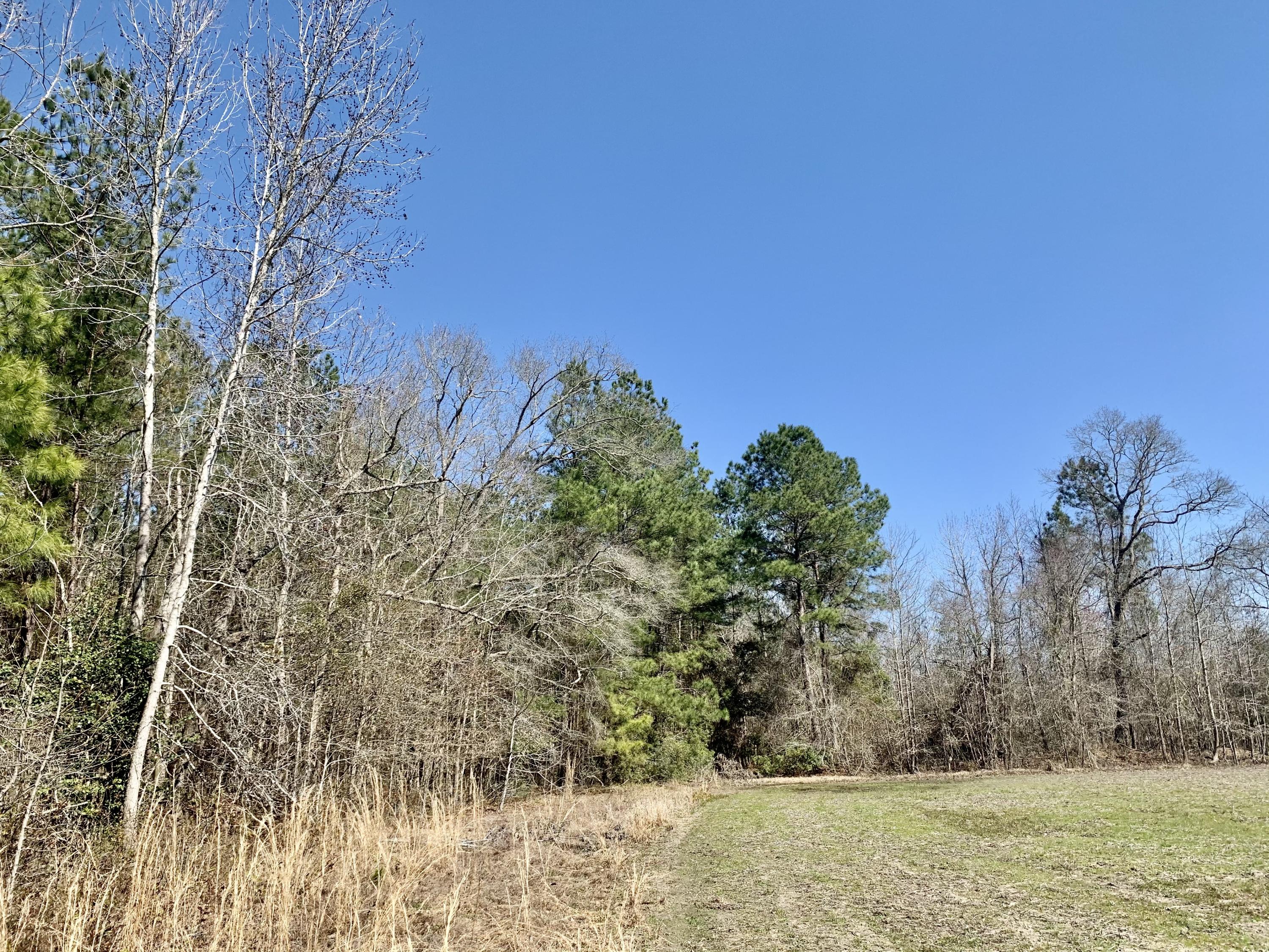 651 Schaffer Corner Road Varnville, SC 29944 - Photo 27 of 30 1C61598E-C483-457C-8774-C5A7D2952DCF