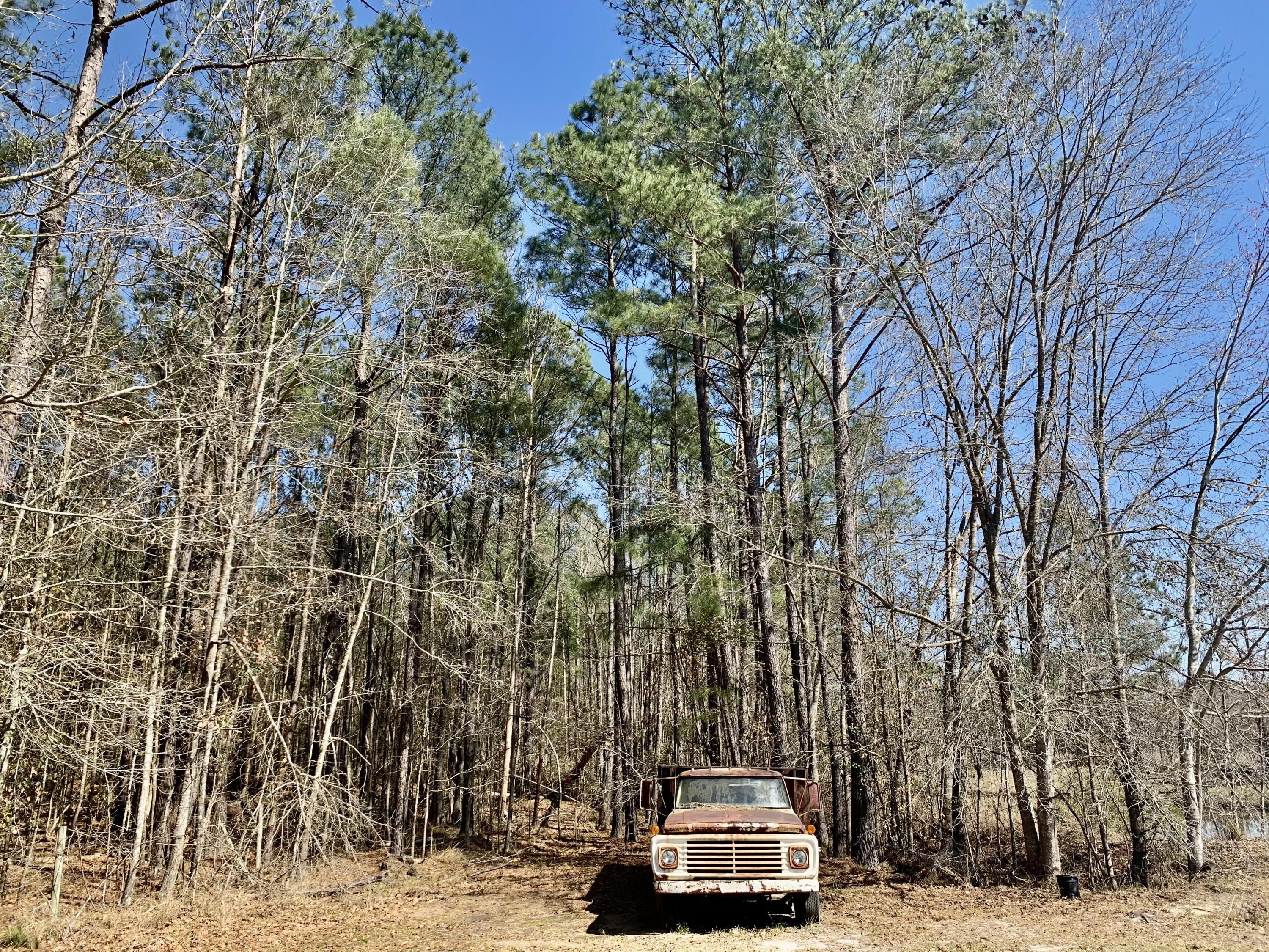 651 Schaffer Corner Road Varnville, SC 29944 - Photo 30 of 30 DDAEC57B-326B-4E35-BC14-0CE35C17D058