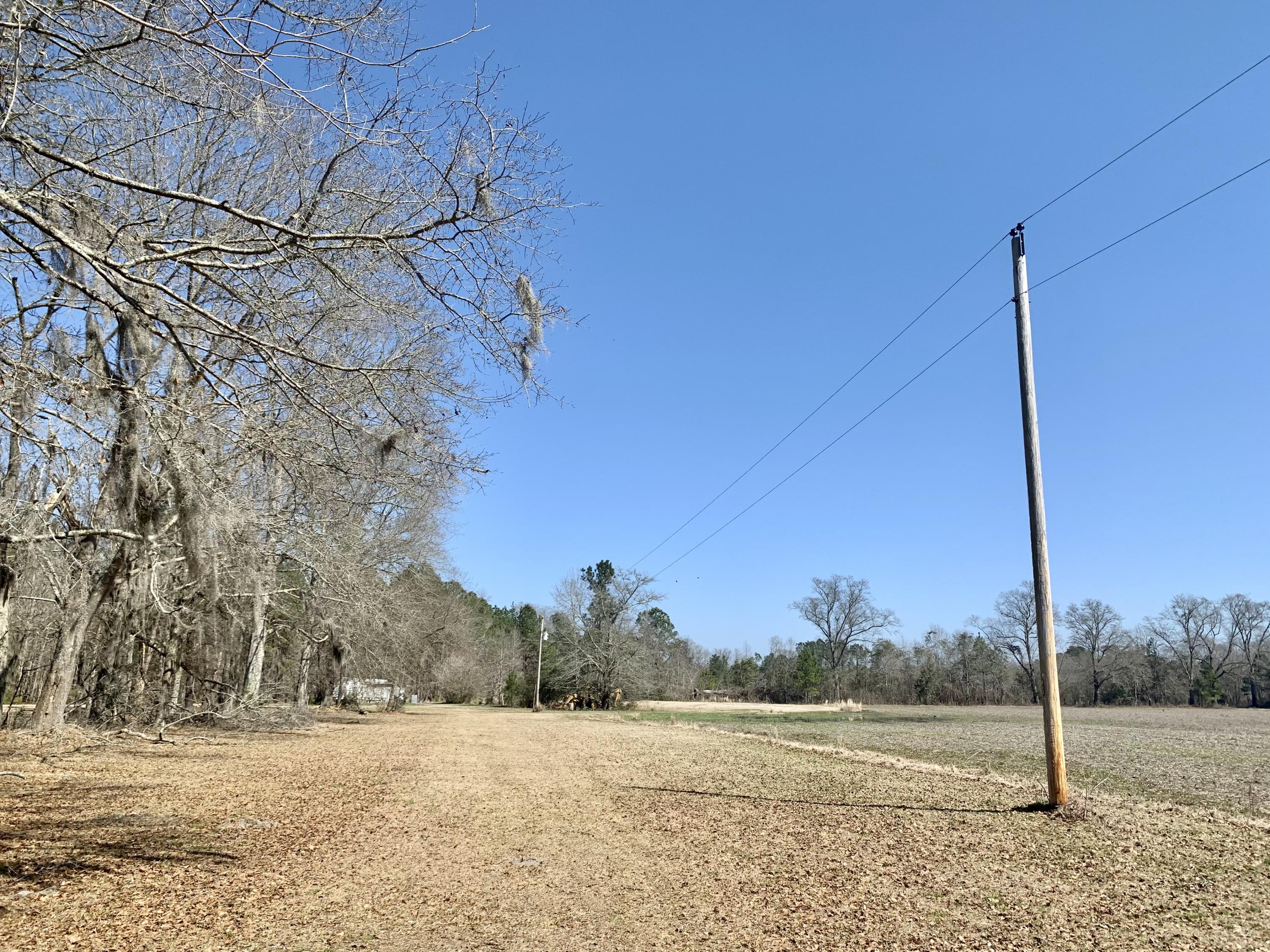651 Schaffer Corner Road Varnville, SC 29944 - Photo 5 of 30 0C2E5176-A2C0-4ADF-BFE2-7A44F998813D