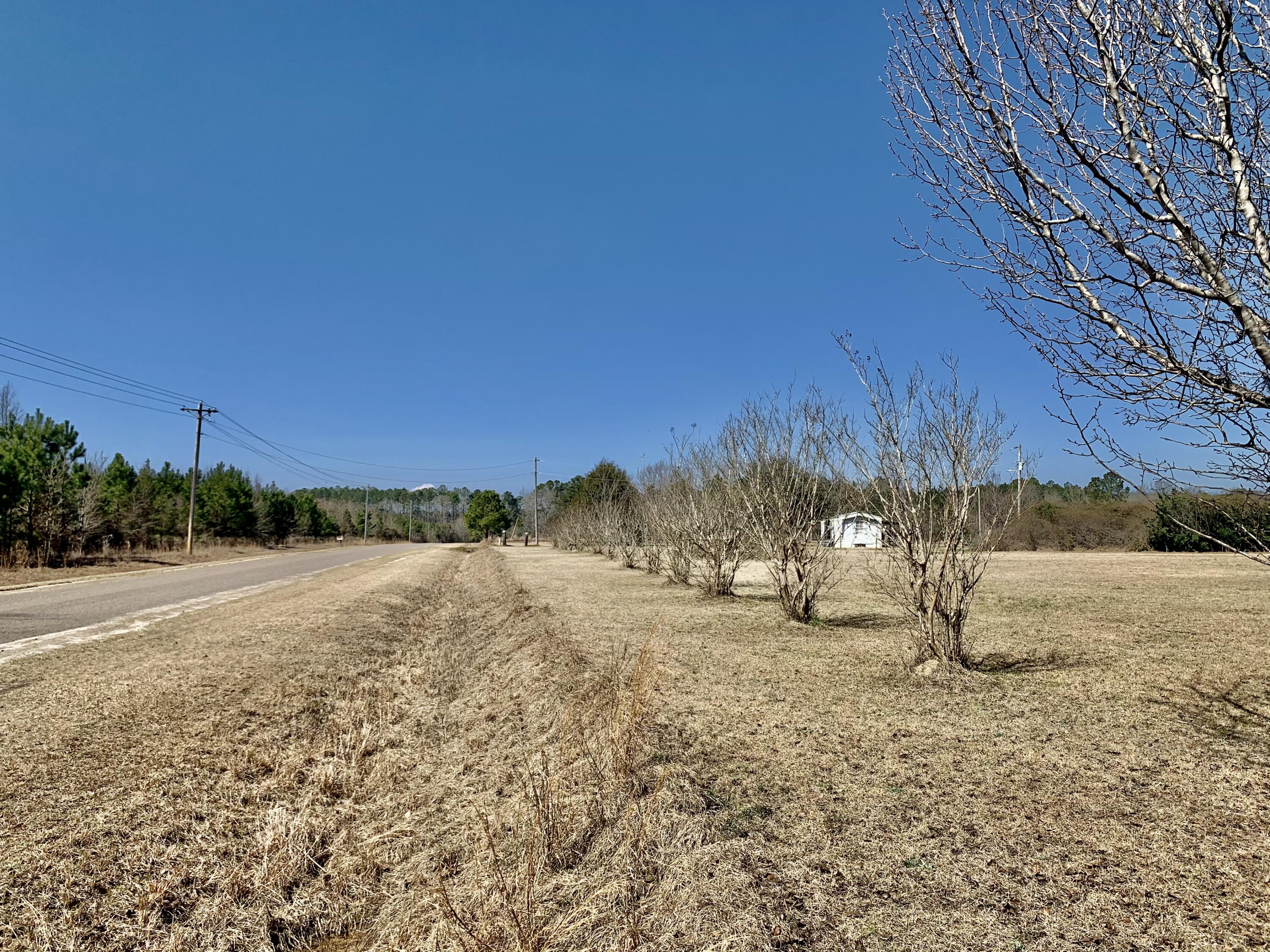 651 Schaffer Corner Road Varnville, SC 29944 - Photo 7 of 30 4F31438D-4B81-415E-BCB8-B08718BC1B52