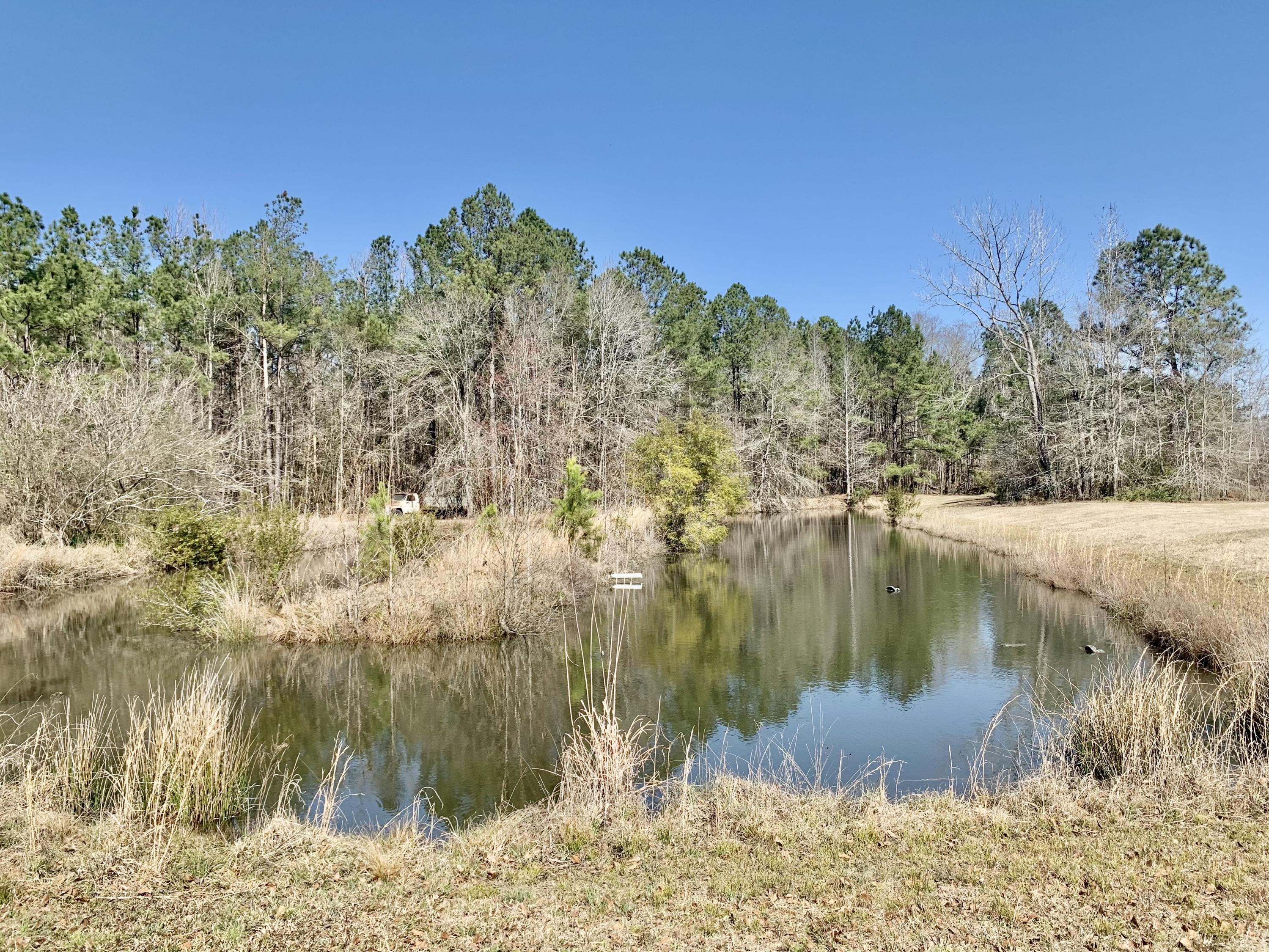 651 Schaffer Corner Road Varnville, SC 29944 - Photo 8 of 30 5A13D0CD-5E36-4EA8-BD04-9911B778EFD8