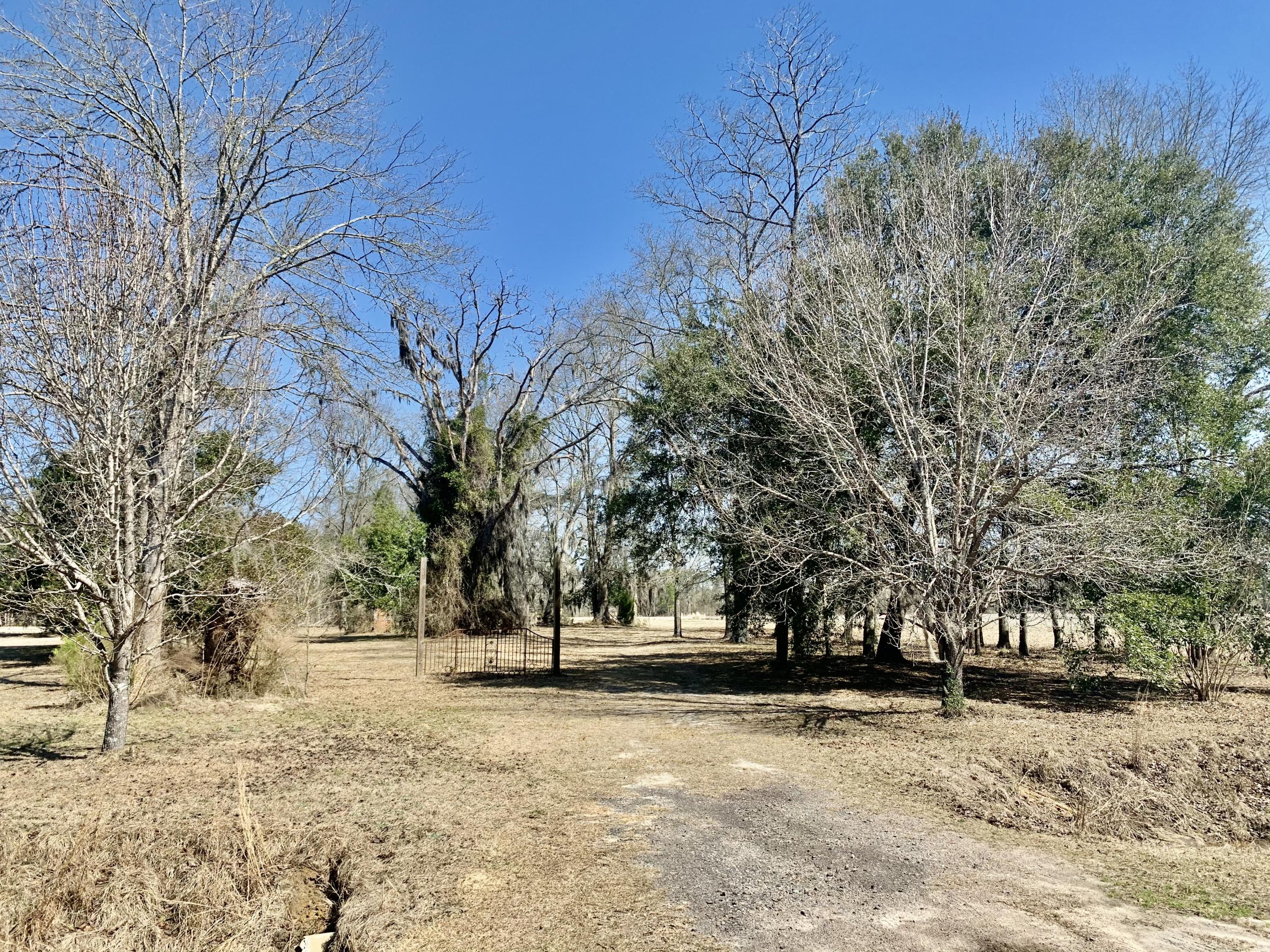 651 Schaffer Corner Road Varnville, SC 29944 - Photo 9 of 30 649A1DF3-7DCA-467D-8A1F-0A3195FB3080