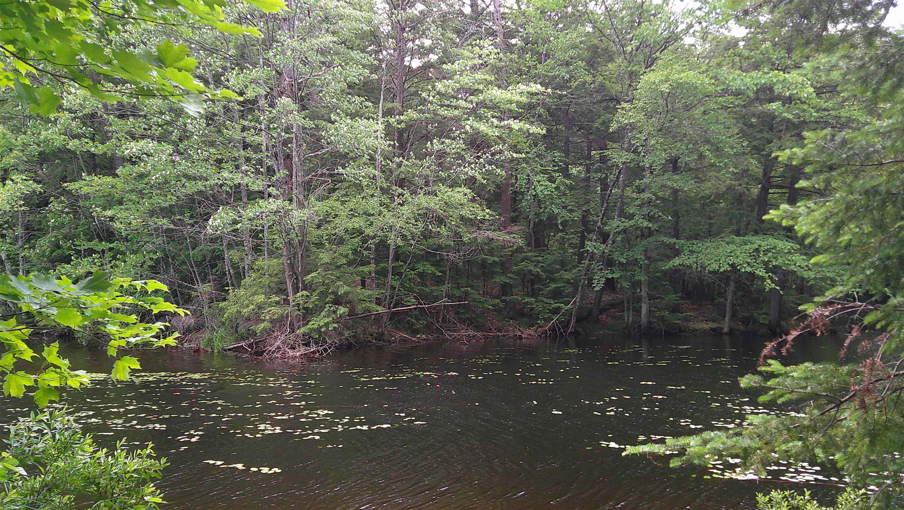 N8793 Water Power Road Deerbrook, WI 54424 - Photo 30 of 58