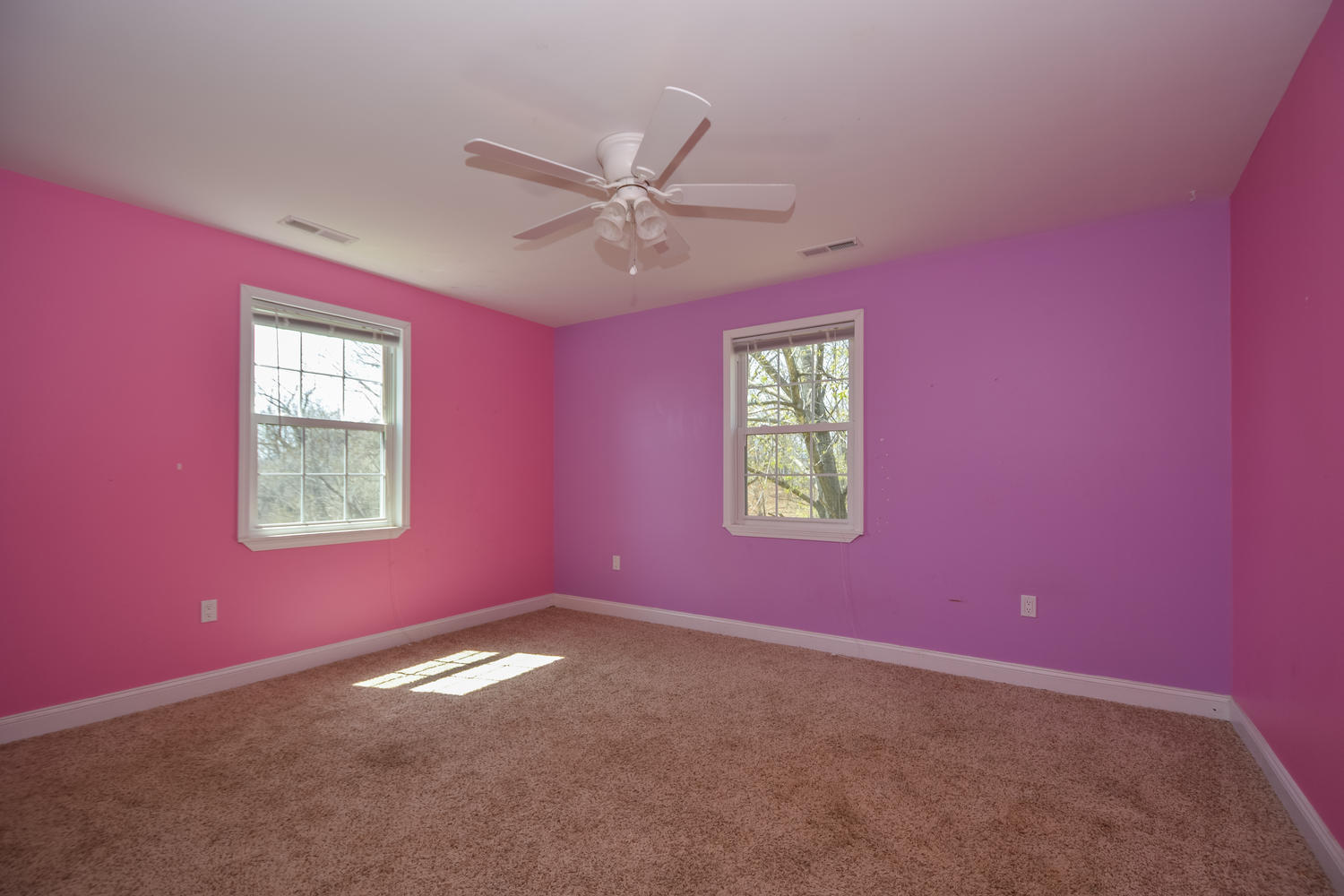 343 Ridge Road Troutville, VA 24175 - Photo 9 of 29 343 Ridge Rd Troutville VA-large-011-20-