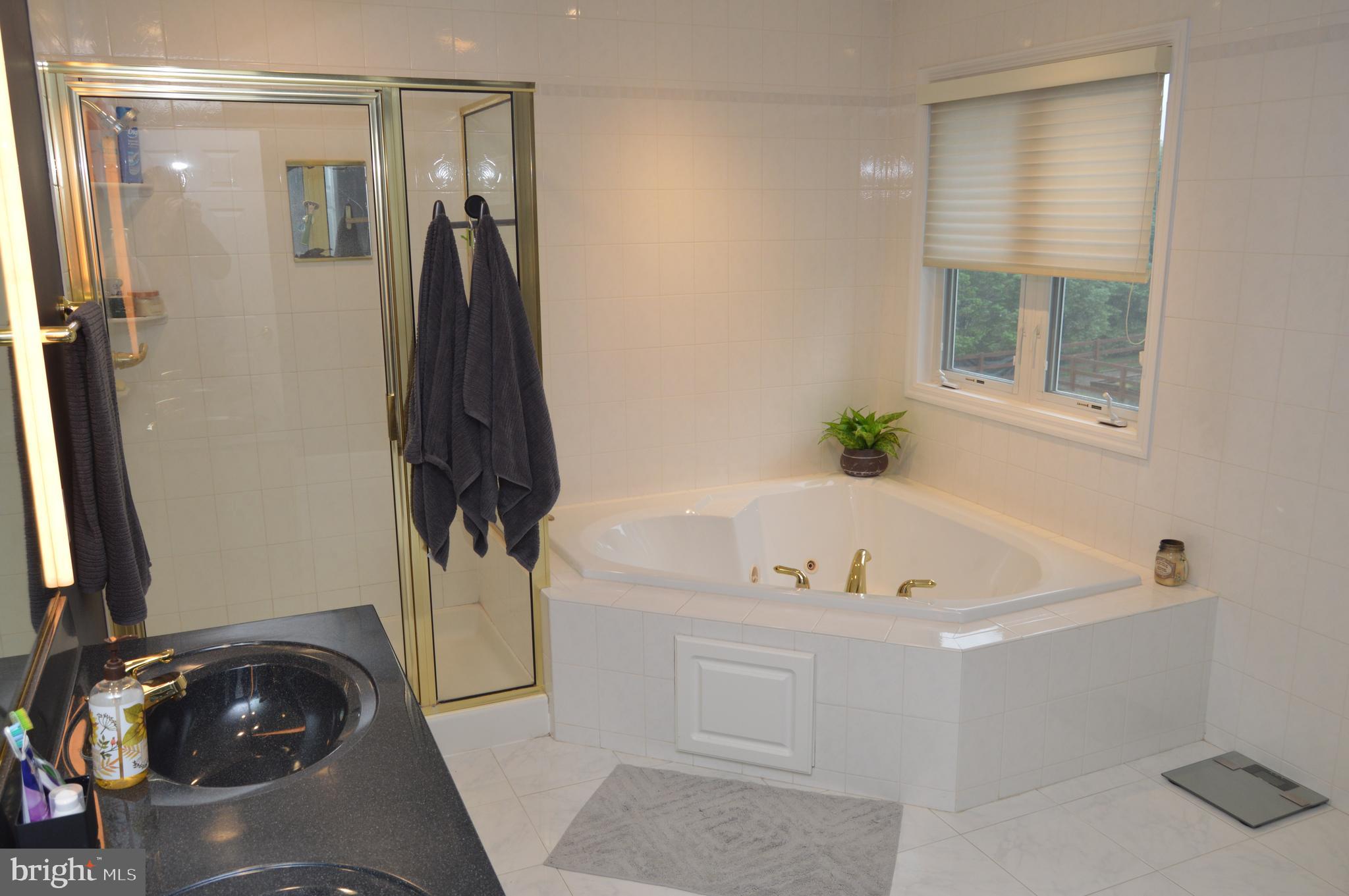 104 Meadow View Drive Reading, PA 19605 - Photo 23 of 67 Primary Bath with whirlpool