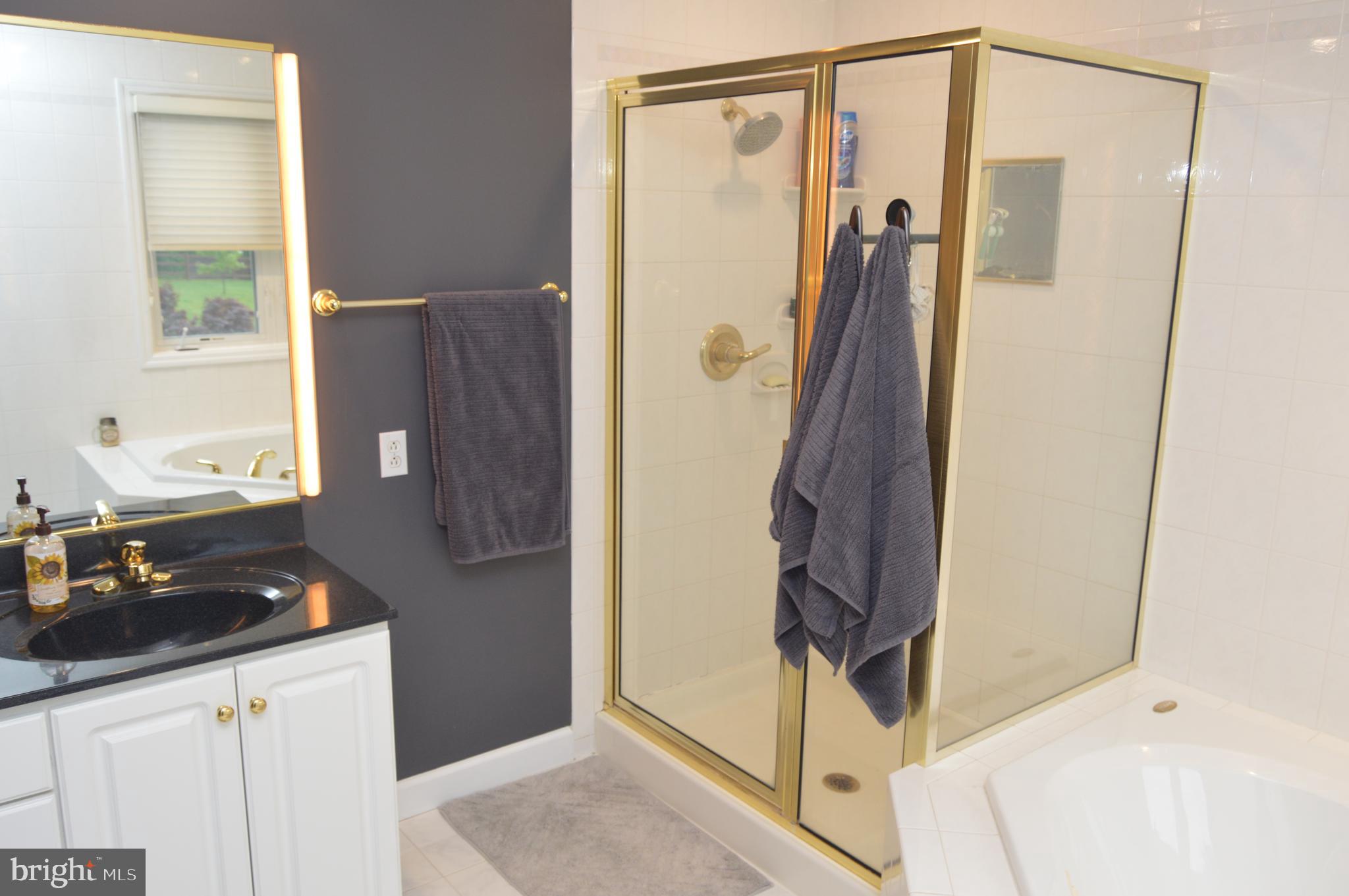 104 Meadow View Drive Reading, PA 19605 - Photo 24 of 67 Primary Bath walk-in shower