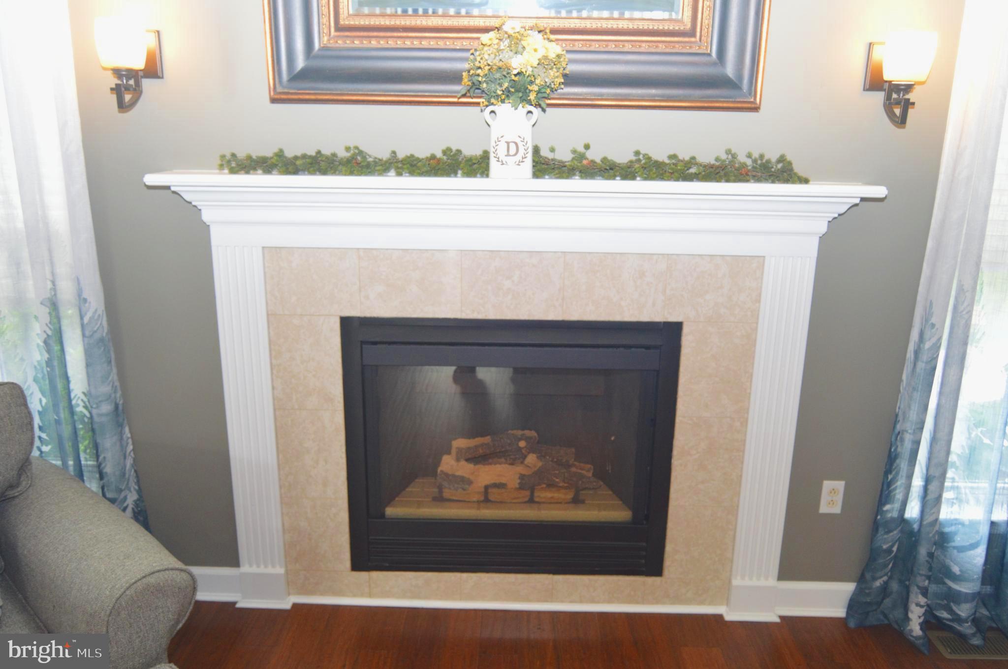 104 Meadow View Drive Reading, PA 19605 - Photo 4 of 67 Gas fireplace