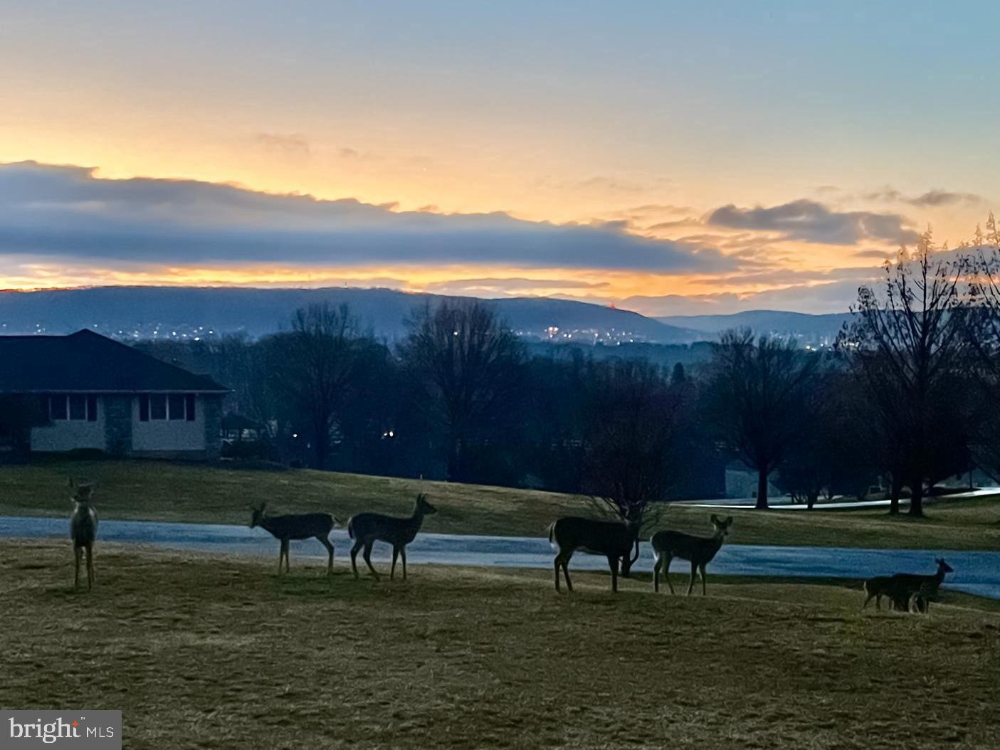 104 Meadow View Drive Reading, PA 19605 - Photo 58 of 67