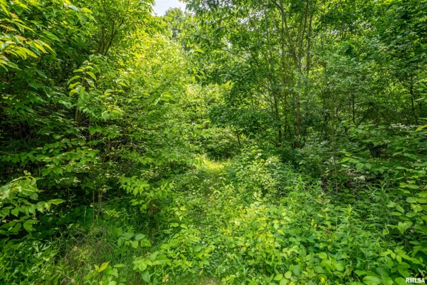 $25,000 | 5115 West Harp Hollow Road, Peoria, IL 61607
